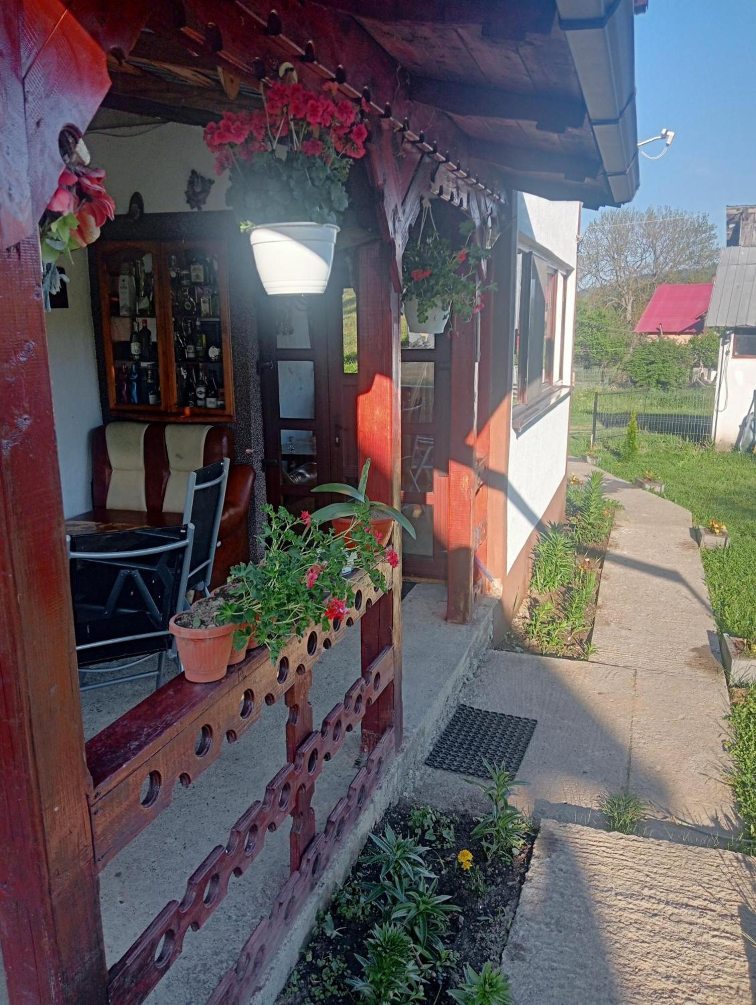 Casa Vasy Guest House Vatra Dornei Exterior foto
