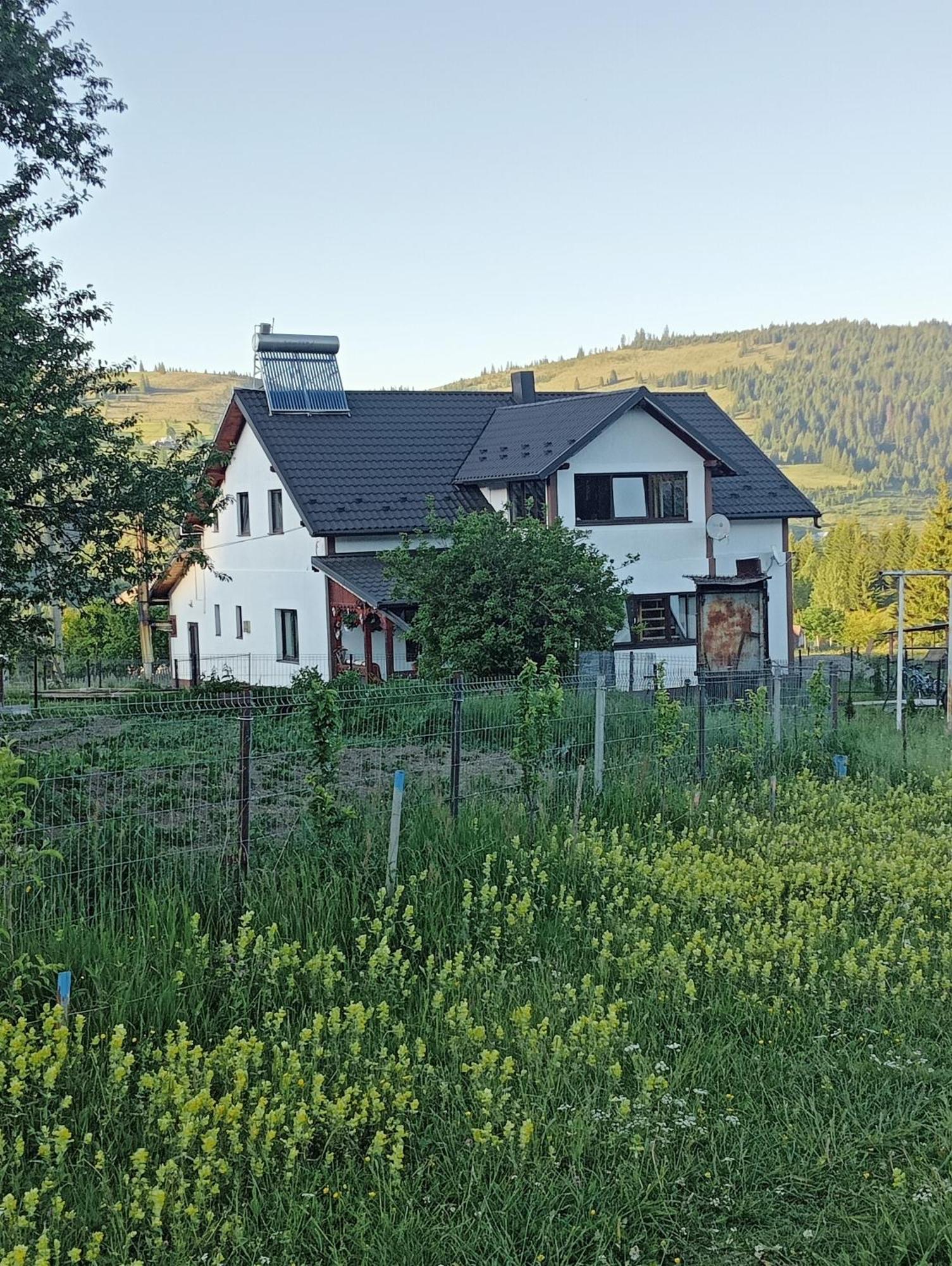Casa Vasy Guest House Vatra Dornei Exterior foto